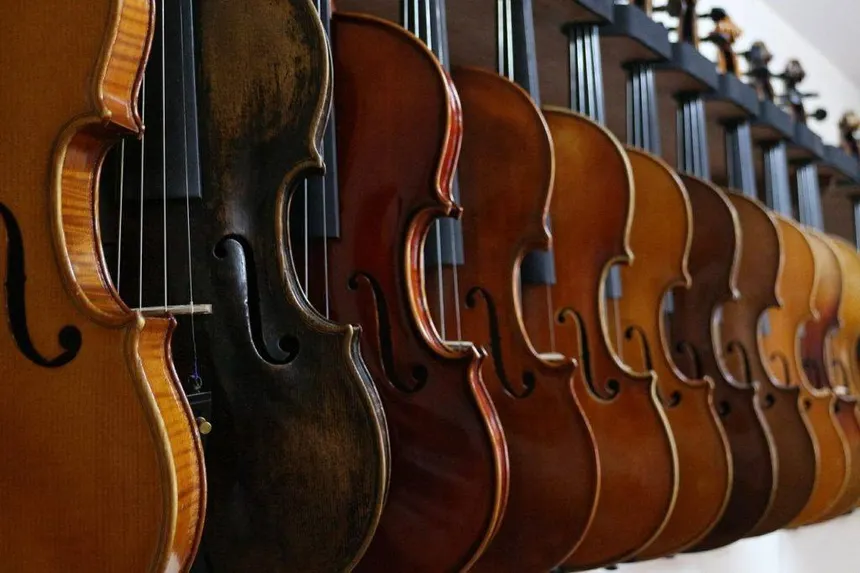 Violines disponibles